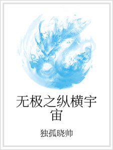 無極之縱橫宇宙
