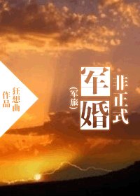 非正式軍婚/非正式婚姻(軍旅)