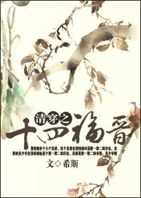 清穿之十四福晉/清輝如雪