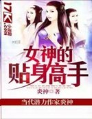 女神的貼郭高手