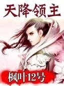 天降领主