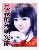 总裁的呆萌冤家
