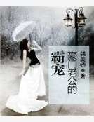 豪門老公的霸寵
