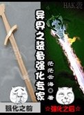 异界之装备强化专家