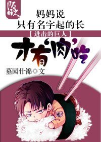 (BG-進擊的巨人同人)進擊媽媽說只有名字起得長才有肉吃