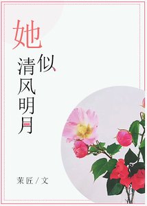 她似清风明月