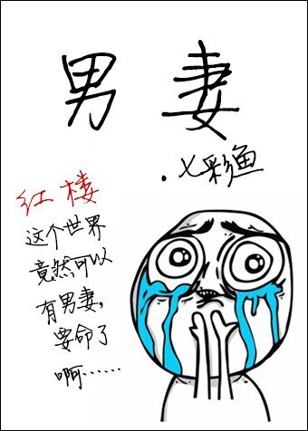 (紅樓同人)男妻