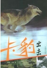卡豹出擊