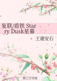 (BL/復聯同人)復聯/盾鐵 Starry Dusk星暮