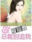 逃愛仙妻:總裁別追我