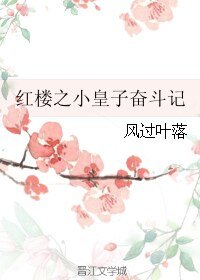(红楼同人)红楼之小皇子奋斗记