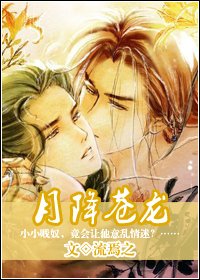 月降苍龙/皇家贱奴/伪宦受宰相攻