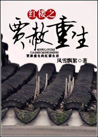 (红楼梦同人)红楼之贾赦重生