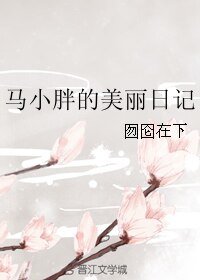 马小胖的美丽应记