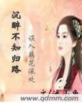 沉醉不知歸路