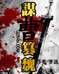 (三国同人)谋曹篡魏