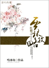 (红楼同人)红楼之贾环攻略