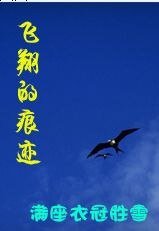 飞翔的痕迹