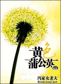 黄额蒲公英