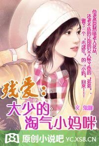先歡後愛:惹火媽咪17歲/殘愛:大少的淘氣小媽咪
