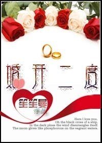 婚開二度