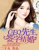 CEO先生,簽字結婚!
