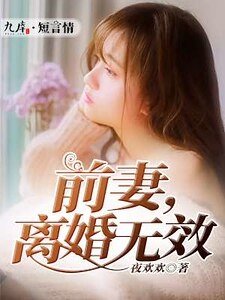 前妻,離婚無效