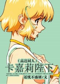 (高达同人)卡嘉莉陛下