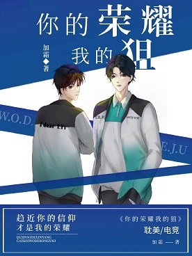 你的荣耀我的狙