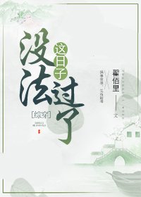(综同人)这日子没法过了