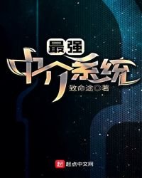 最强中介系统