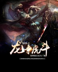 神侠之龙争虎斗