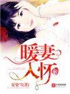 暖妻入怀(重生)