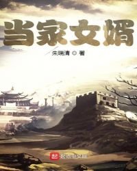 當家女婿