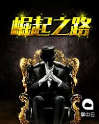 绯色升迁图:崛起官场