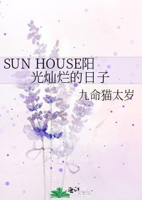 SUN HOUSE阳光灿烂的应子