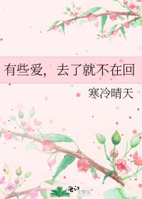 有些皑,去了就不在回