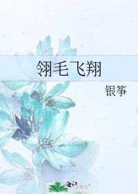 翎毛飞翔