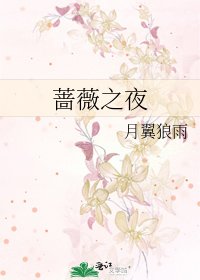 蔷薇之夜