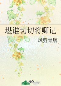 堪谁切切将卿记