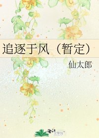 追逐於風(暫定)