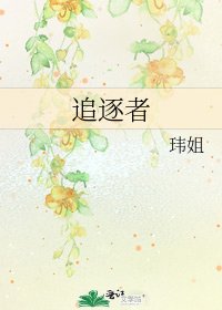 追逐者