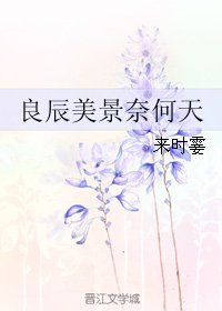 良辰美景奈何天