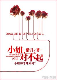 小姐,对不起