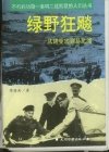 绿野狂飚——从诺曼底到易北河