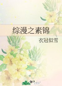 綜漫之素錦