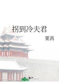 拐到冷夫君