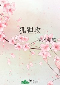 狐狸工