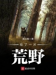 撿了一片荒冶
