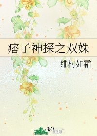 痞子神探之雙姝